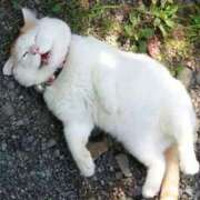 ヒメ日記 2025/08/31 07:00 投稿 篠原 MadameRest(マダムレスト)