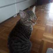 ヒメ日記 2025/08/31 12:09 投稿 篠原 MadameRest(マダムレスト)