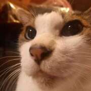 ヒメ日記 2025/09/01 04:08 投稿 篠原 MadameRest(マダムレスト)