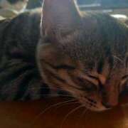 ヒメ日記 2025/09/01 07:17 投稿 篠原 MadameRest(マダムレスト)