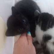 ヒメ日記 2025/09/01 12:33 投稿 篠原 MadameRest(マダムレスト)