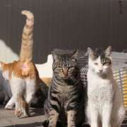 ヒメ日記 2025/09/01 16:02 投稿 篠原 MadameRest(マダムレスト)