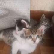 ヒメ日記 2025/09/02 04:02 投稿 篠原 MadameRest(マダムレスト)