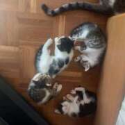 ヒメ日記 2025/09/02 07:13 投稿 篠原 MadameRest(マダムレスト)