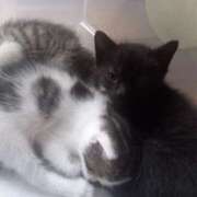 ヒメ日記 2025/09/02 12:33 投稿 篠原 MadameRest(マダムレスト)