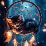 ヒメ日記 2025/09/03 01:52 投稿 篠原 MadameRest(マダムレスト)