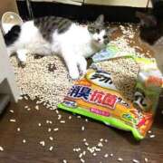 ヒメ日記 2025/09/03 04:54 投稿 篠原 MadameRest(マダムレスト)