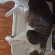 ヒメ日記 2025/09/03 14:00 投稿 篠原 MadameRest(マダムレスト)