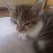 ヒメ日記 2025/09/04 13:01 投稿 篠原 MadameRest(マダムレスト)