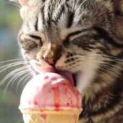 ヒメ日記 2025/09/04 15:49 投稿 篠原 MadameRest(マダムレスト)