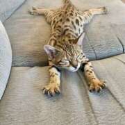 ヒメ日記 2025/09/05 12:30 投稿 篠原 MadameRest(マダムレスト)