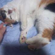 ヒメ日記 2025/09/06 06:28 投稿 篠原 MadameRest(マダムレスト)