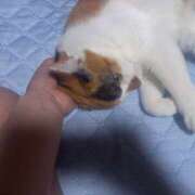 ヒメ日記 2025/09/06 07:31 投稿 篠原 MadameRest(マダムレスト)