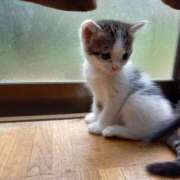 ヒメ日記 2025/09/06 12:52 投稿 篠原 MadameRest(マダムレスト)