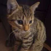 ヒメ日記 2025/09/07 04:32 投稿 篠原 MadameRest(マダムレスト)