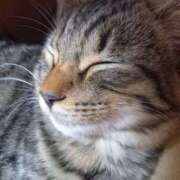 ヒメ日記 2025/09/07 06:48 投稿 篠原 MadameRest(マダムレスト)