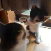 ヒメ日記 2025/09/07 12:46 投稿 篠原 MadameRest(マダムレスト)