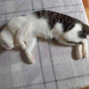 ヒメ日記 2025/09/08 12:36 投稿 篠原 MadameRest(マダムレスト)