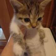 ヒメ日記 2025/09/09 06:12 投稿 篠原 MadameRest(マダムレスト)