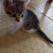 ヒメ日記 2025/09/09 16:44 投稿 篠原 MadameRest(マダムレスト)