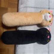 ヒメ日記 2025/09/09 22:40 投稿 篠原 MadameRest(マダムレスト)