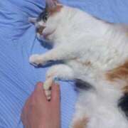 ヒメ日記 2025/09/10 13:46 投稿 篠原 MadameRest(マダムレスト)