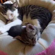 ヒメ日記 2025/09/11 12:33 投稿 篠原 MadameRest(マダムレスト)