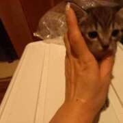 ヒメ日記 2025/09/12 03:49 投稿 篠原 MadameRest(マダムレスト)