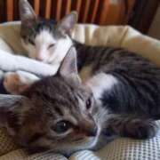 ヒメ日記 2025/09/12 13:15 投稿 篠原 MadameRest(マダムレスト)