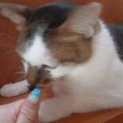 ヒメ日記 2025/09/13 05:02 投稿 篠原 MadameRest(マダムレスト)