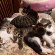 ヒメ日記 2025/09/13 07:58 投稿 篠原 MadameRest(マダムレスト)