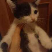 ヒメ日記 2025/09/14 05:20 投稿 篠原 MadameRest(マダムレスト)