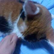 ヒメ日記 2025/09/14 07:10 投稿 篠原 MadameRest(マダムレスト)