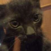 ヒメ日記 2025/09/15 05:12 投稿 篠原 MadameRest(マダムレスト)