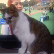 ヒメ日記 2025/09/15 06:46 投稿 篠原 MadameRest(マダムレスト)