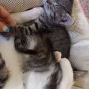 ヒメ日記 2025/09/15 07:53 投稿 篠原 MadameRest(マダムレスト)