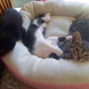 ヒメ日記 2025/09/16 05:51 投稿 篠原 MadameRest(マダムレスト)