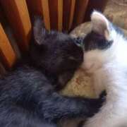 ヒメ日記 2025/09/16 07:51 投稿 篠原 MadameRest(マダムレスト)