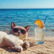 ヒメ日記 2025/09/16 16:49 投稿 篠原 MadameRest(マダムレスト)