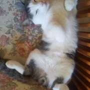 ヒメ日記 2025/09/17 13:05 投稿 篠原 MadameRest(マダムレスト)