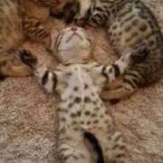 ヒメ日記 2025/09/18 15:28 投稿 篠原 MadameRest(マダムレスト)