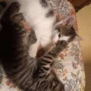 ヒメ日記 2025/09/20 06:03 投稿 篠原 MadameRest(マダムレスト)