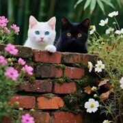 ヒメ日記 2025/09/21 15:57 投稿 篠原 MadameRest(マダムレスト)