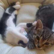 ヒメ日記 2025/09/23 13:21 投稿 篠原 MadameRest(マダムレスト)