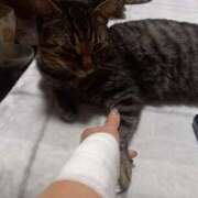 ヒメ日記 2025/09/24 21:33 投稿 篠原 MadameRest(マダムレスト)