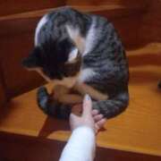 ヒメ日記 2025/09/25 05:32 投稿 篠原 MadameRest(マダムレスト)