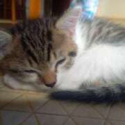 ヒメ日記 2025/09/25 15:34 投稿 篠原 MadameRest(マダムレスト)