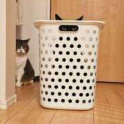 ヒメ日記 2025/09/25 17:13 投稿 篠原 MadameRest(マダムレスト)