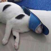 ヒメ日記 2025/09/26 16:43 投稿 篠原 MadameRest(マダムレスト)