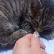 ヒメ日記 2025/09/27 04:06 投稿 篠原 MadameRest(マダムレスト)